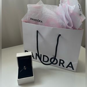 Pandora Authentic Charm